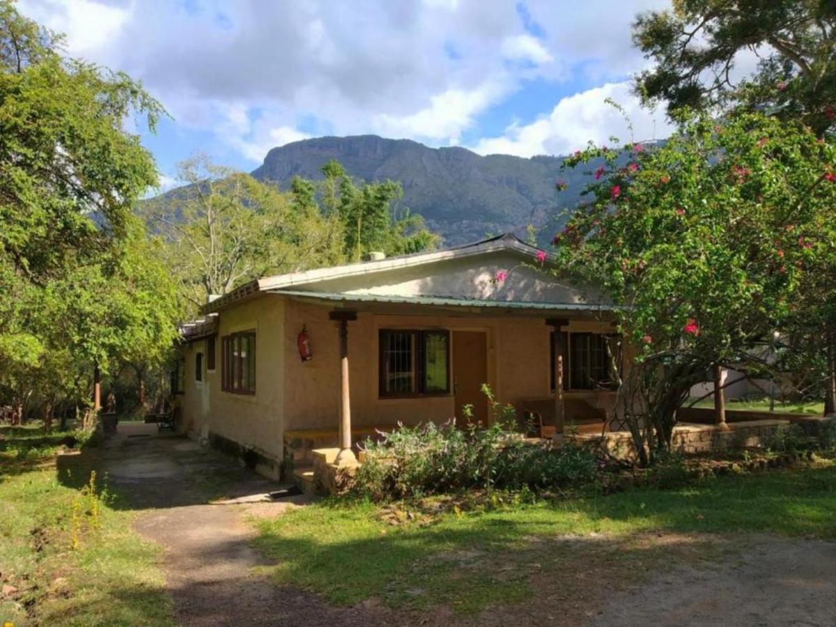 丛林小屋度假酒店 马西尼古蒂 外观 照片