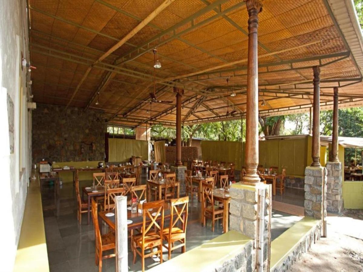 丛林小屋度假酒店 马西尼古蒂 外观 照片