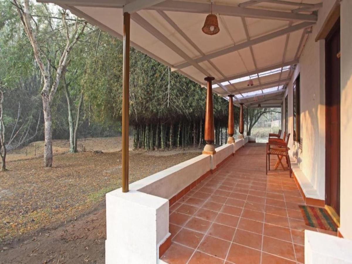 丛林小屋度假酒店 马西尼古蒂 外观 照片